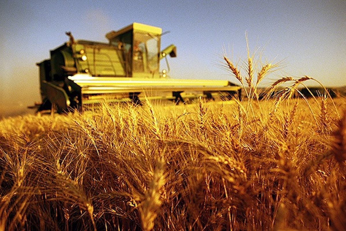 Agricoltura contro i cambiamenti climatici