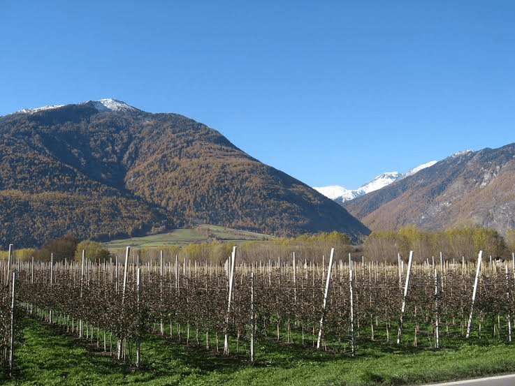 Agricoltura: stipulata la partnership che convoglia il 75% del settore