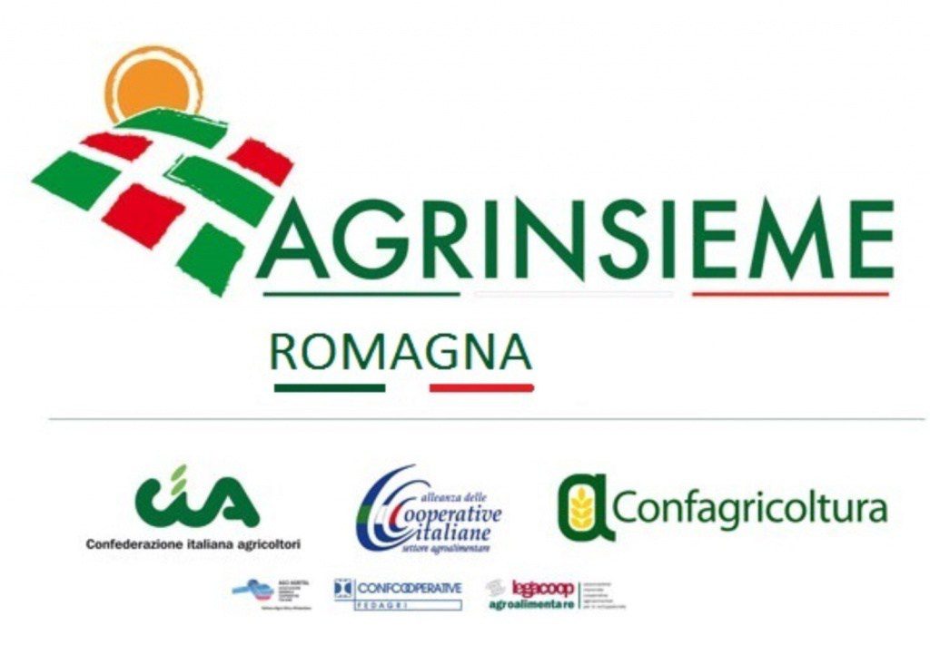 Agrinsieme: Soddisfazione per le misure all'interno della legge di Stabilità