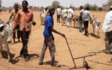 Aumentano gli aiuti umanitari per il Sudan