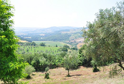 Benevento: per valorizzare le filiere agroalimentari locali