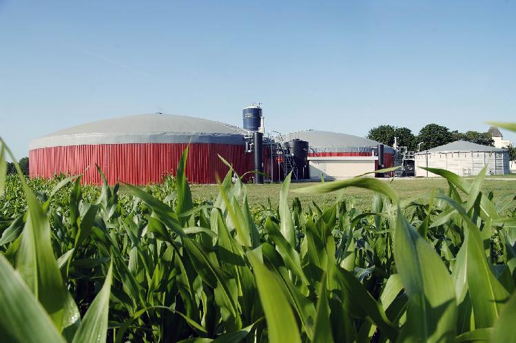 Biogas agricolo: un patto Eni-Coldiretti