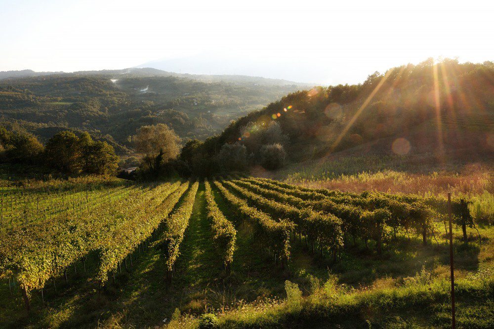 Calici di Stelle fa tappa in Irpinia