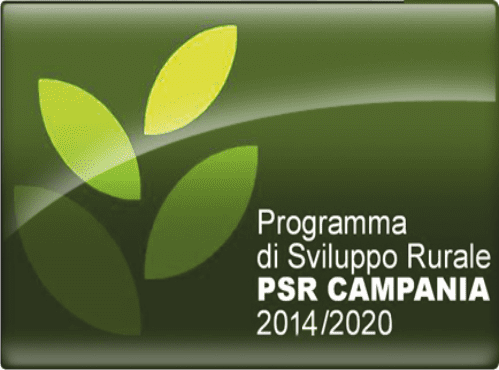 Campania: il Programma di Sviluppo Rurale porta 1