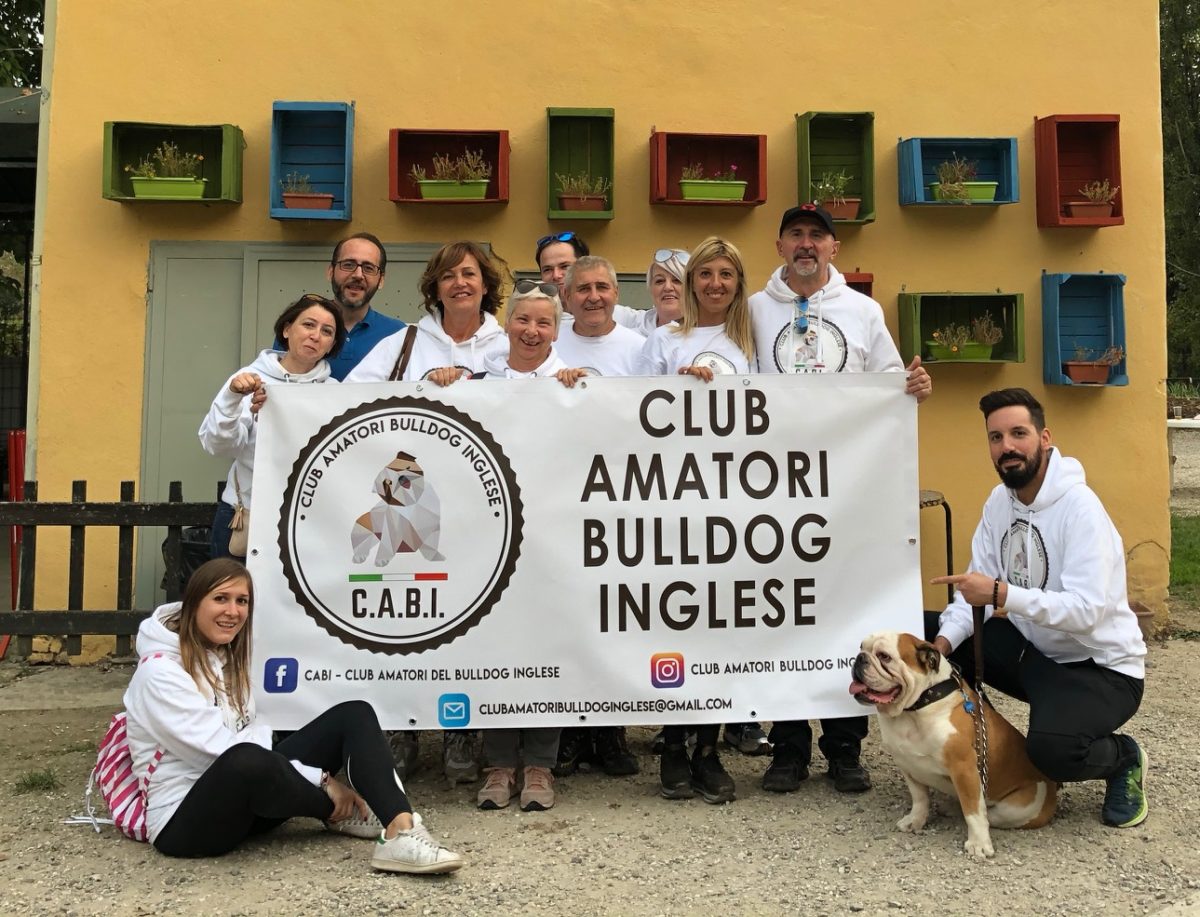 Cani star dei social anche in quarantena