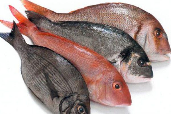 Come riconoscere il pesce fresco