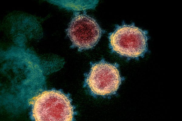 Coronavirus: tra pandemia reale e la paura che corre nel web