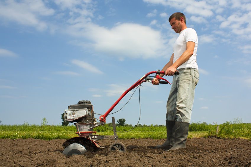 Cresce l'occupazione nell'agricoltura italiana