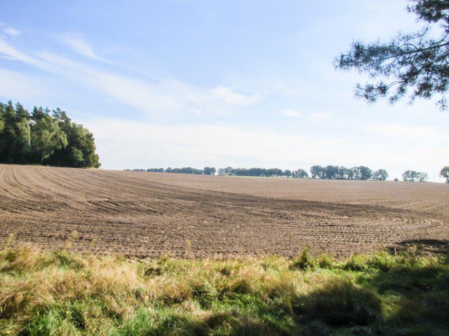 Crescita record per l'agricoltura del sud