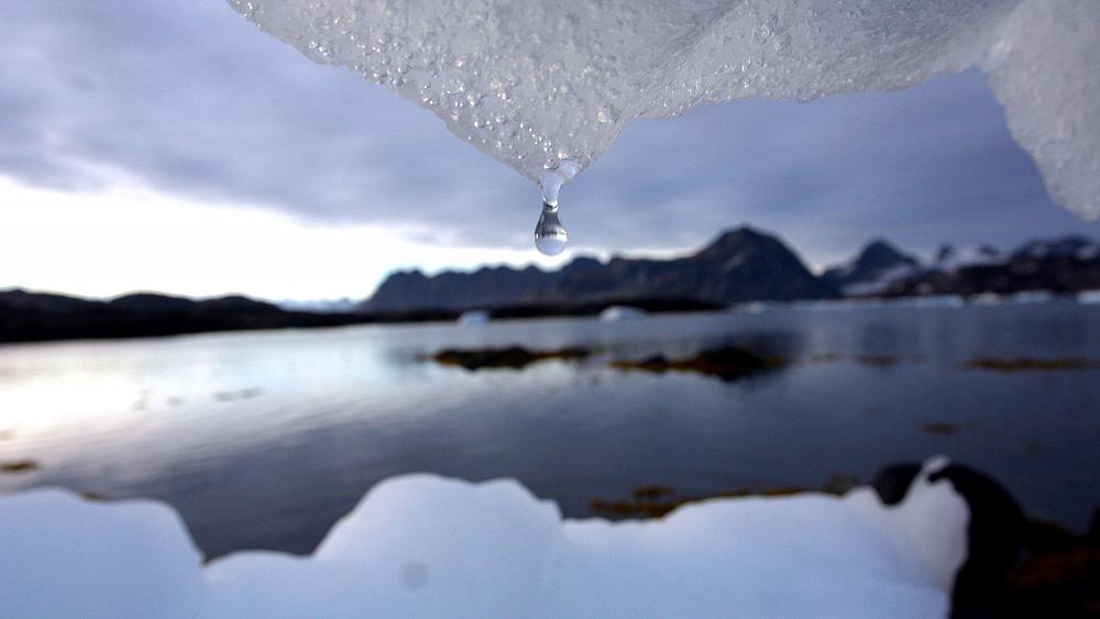 Diplomazia climatica: l'impegno dell'UE in vista del 2050