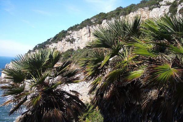 Ecoturismo al Parco nazionale Circeo