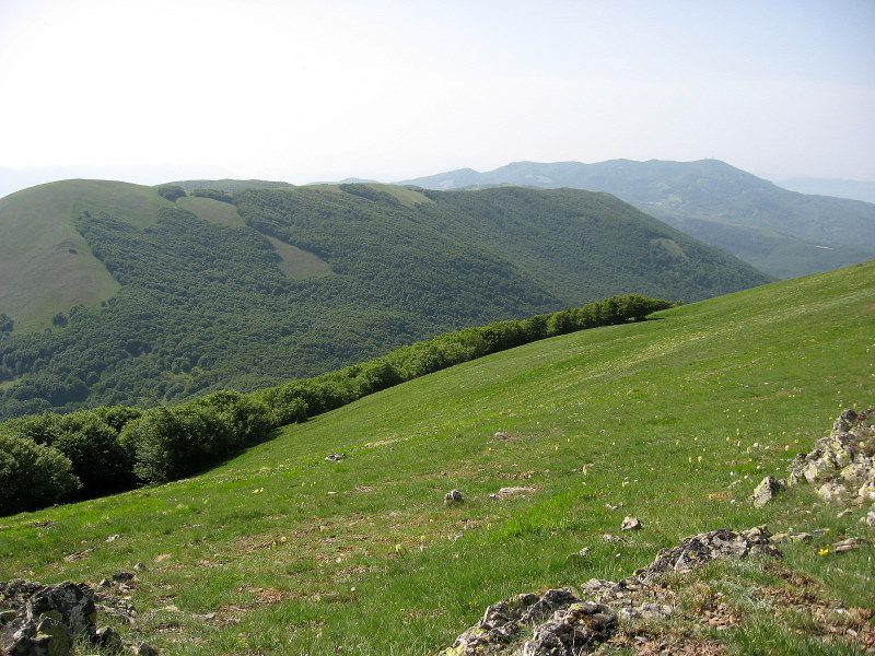 Ente Parco dell’Appennino Lucano: accordo al Ministero dell'Ambiente