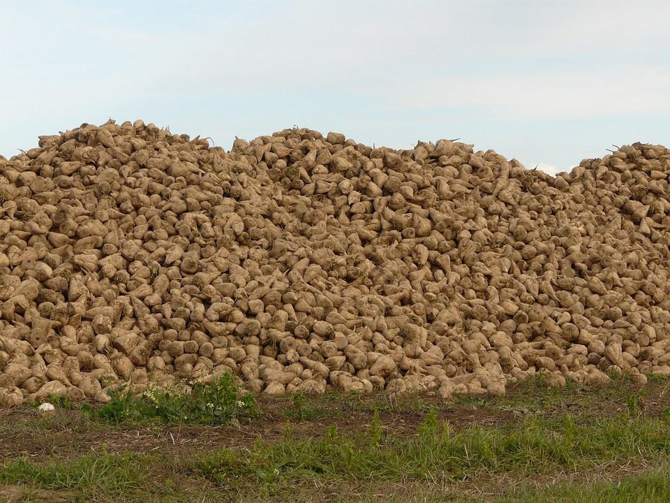 Fertilizzanti ecologici: il via libera dell'UE