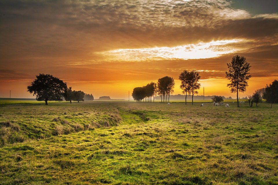 Fiera di Vita in Campagna