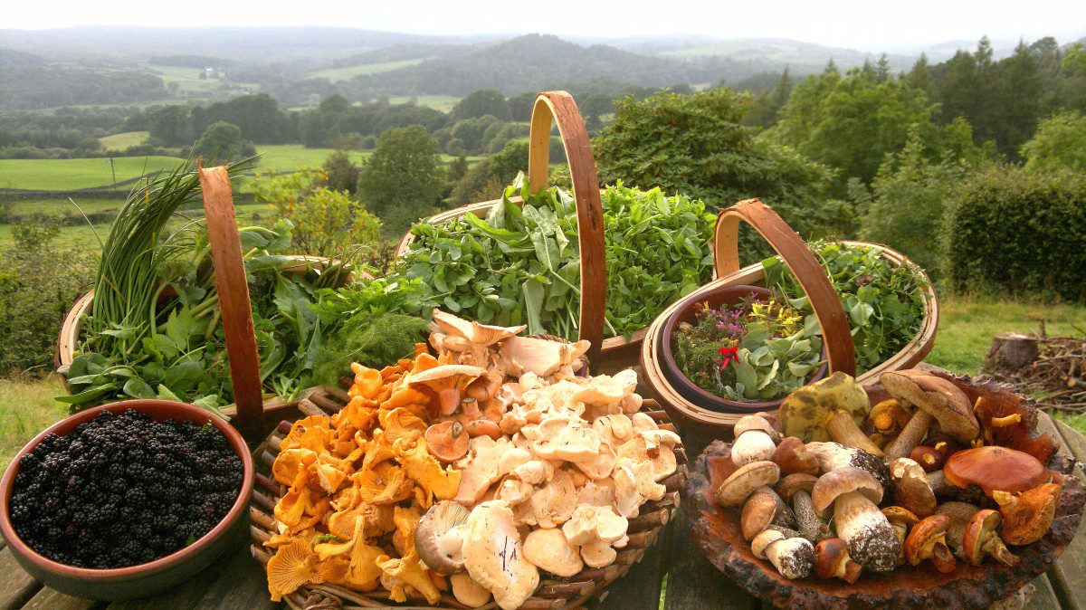 Foraging: la nuova frontiera della cucina moderna