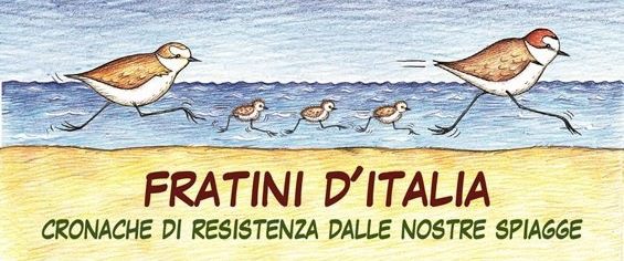 Fratini d'Italia