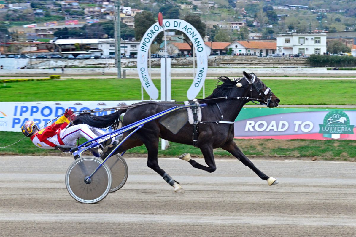 GRAN PREMIO LOTTERIA: SI CORRE PURE SUL LUNGOMARE