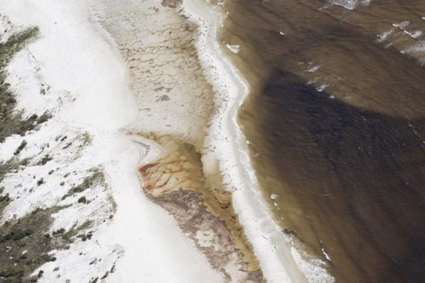 A 5 ANNI DAL DISASTRO AMBIENTALE DEL GOLFO DEL MESSICO