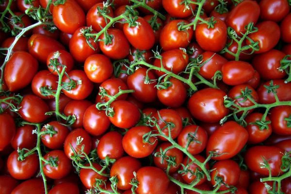 I pomodori proteggono la nostra prostata