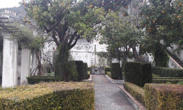 Il Giardino della Minerva: un orto botanico d’eccellenza