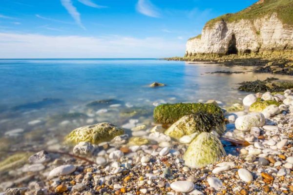 Il mare è malato