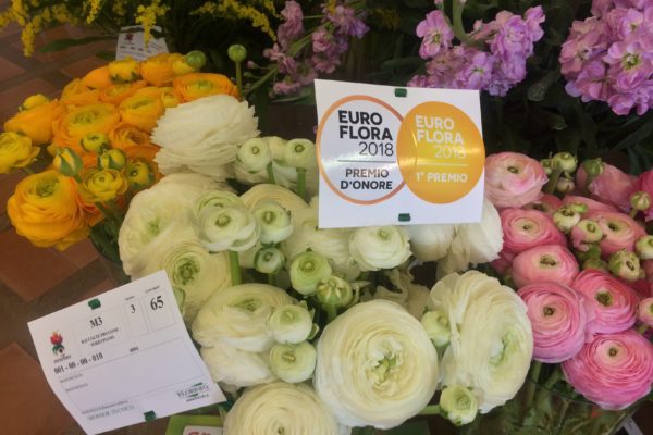 Il successo della floricoltura campana