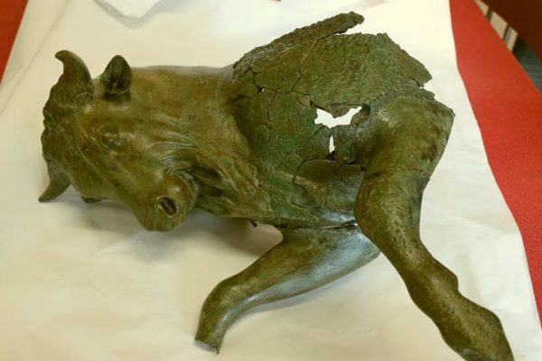 Il Toro cozzante al Museo Egizio di Torino