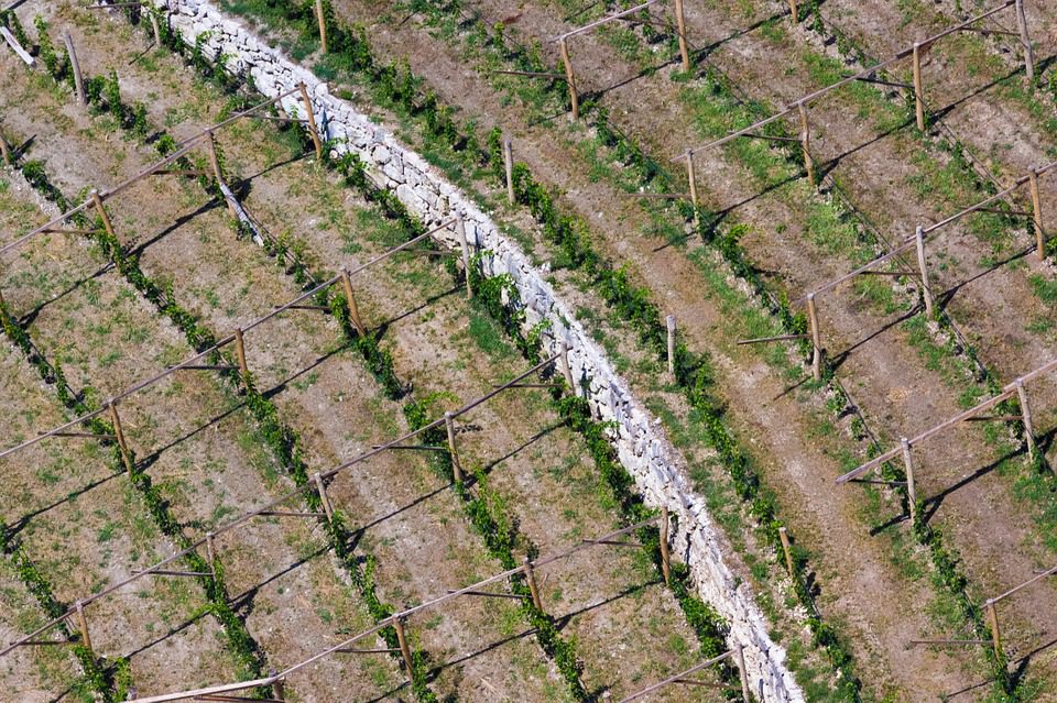 In Italia la terra costa di più