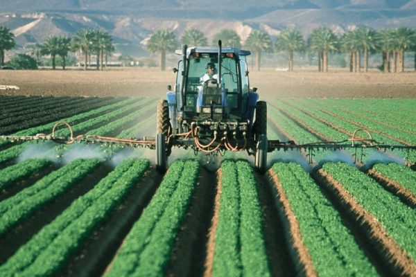 L'agricoltura italiana è la più green d'Europa