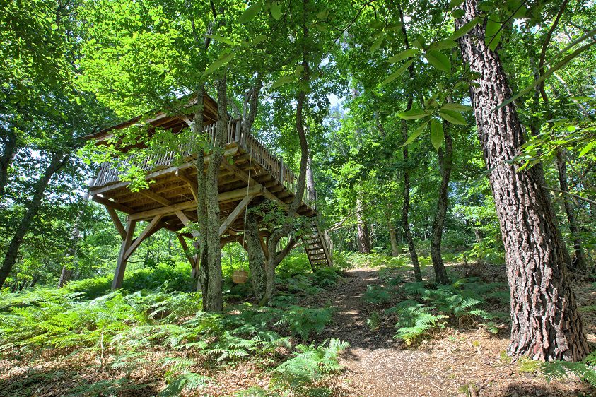 La casa sull’albero: un'idea vacanza originale