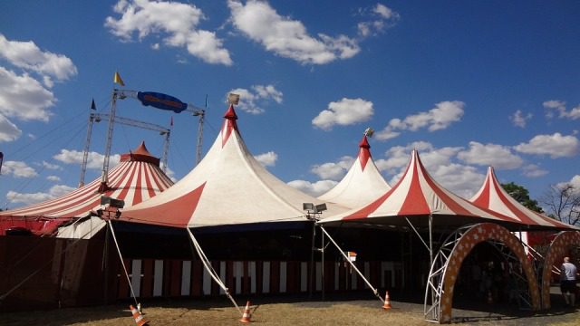 La grande arte del circo