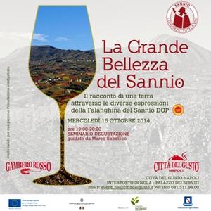 'LA GRANDE BELLEZZA DEL SANNIO'