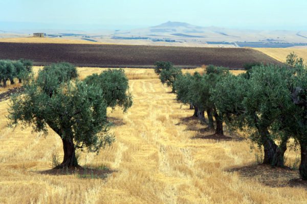 LA PUGLIA PRIMA META PREDILETTA IN ITALIA DEI TURISTI FRANCESI