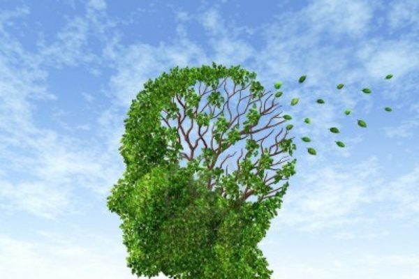 L'ALZHEIMER E LA VITAMINA 'E'