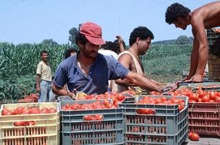 LAVORATORI STAGIONALI