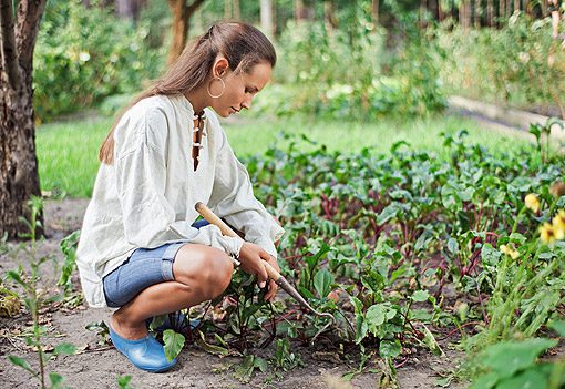 Lavoro giovanile in agricoltura nel 2016