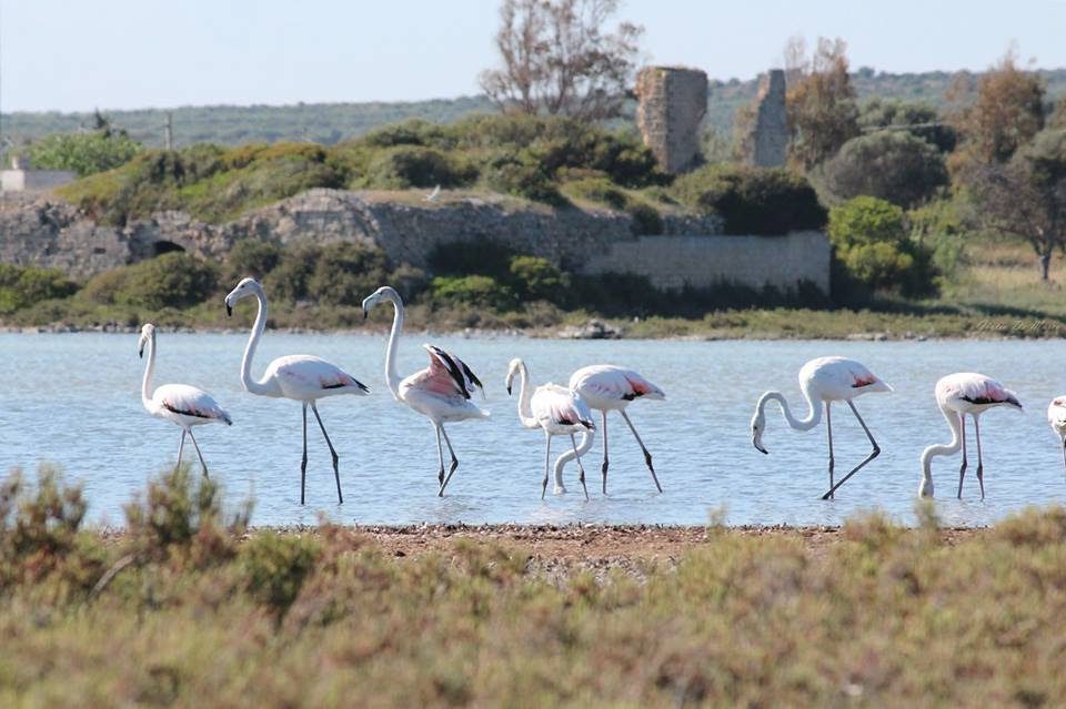 Le saline ritrovate