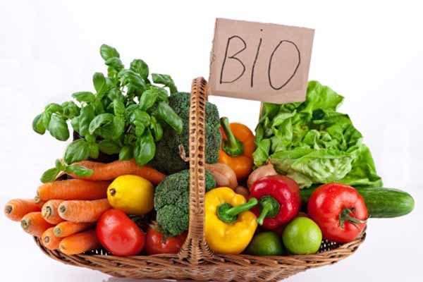 Lo sviluppo dell'alimentazione bio