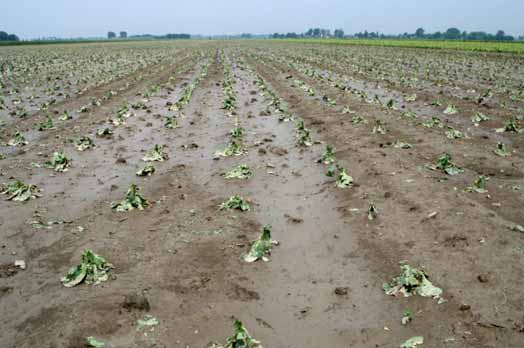 Maltempo: un bilancio dei primi danni da nord a sud