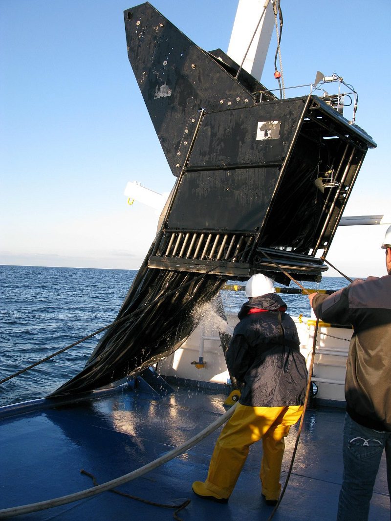 Nuove specie planctoniche arricchiscono la biodiversità dell'Adriatico meridionale