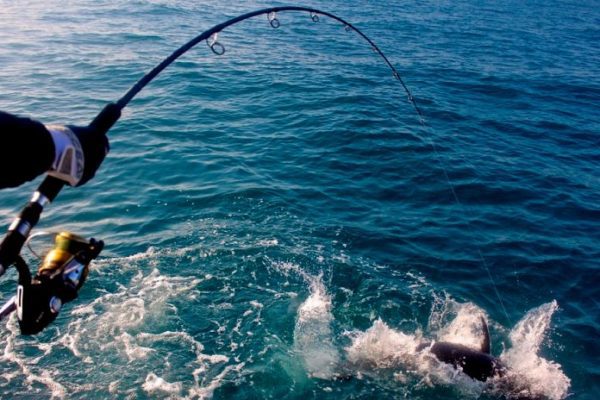 Pesca commerciale: al via le nuove norme europee per la conservazione degli ecosistemi marini