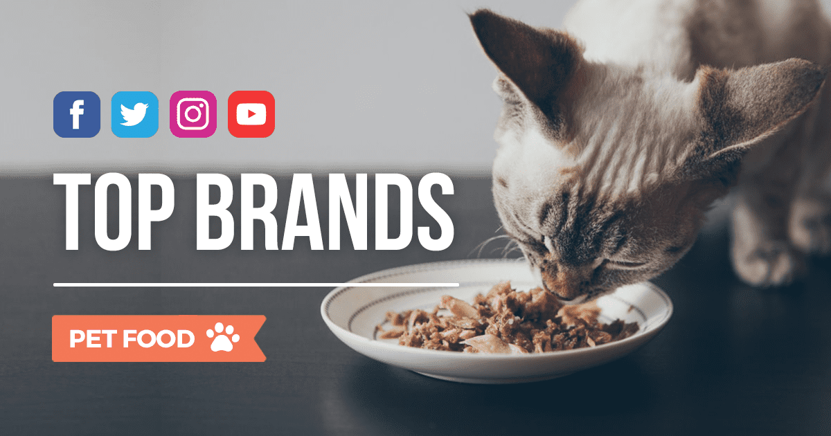 Pet Food: i brand più social