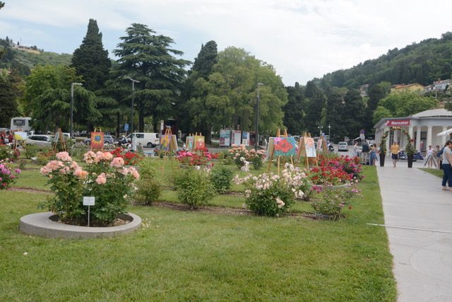 PortoRose2