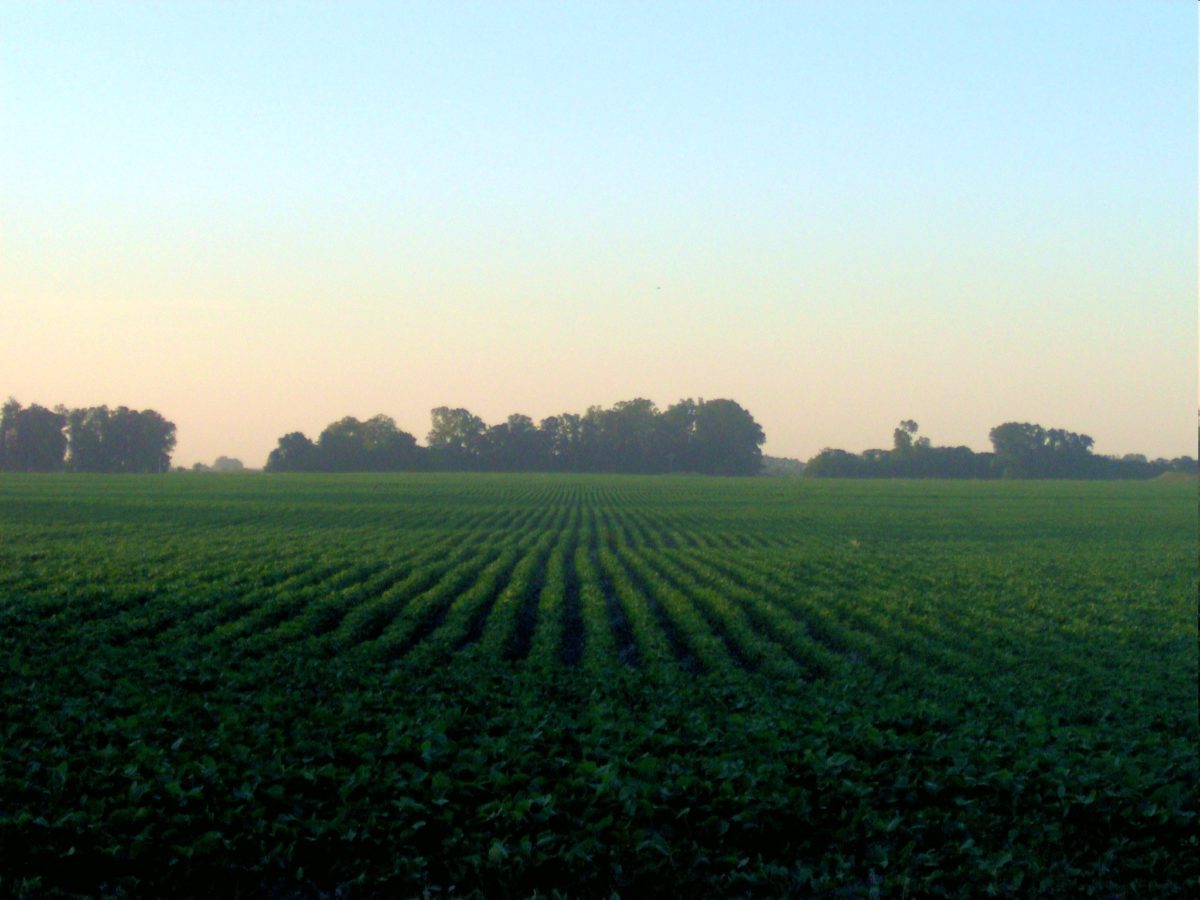 Sentinel for Applications in Agriculture