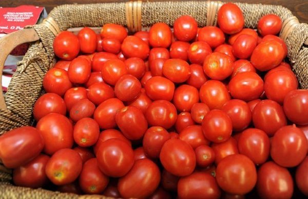 Pomodoro sottopagato 8 Cent/Kg