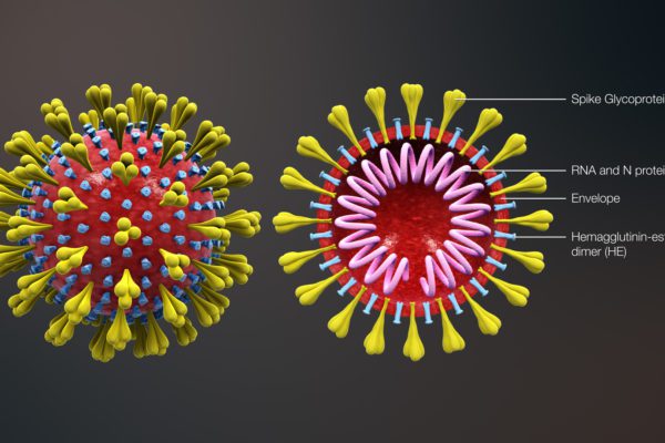 Spallanzani: tra l’isolamento del Coronavirus e l’eccellenza nella ricerca