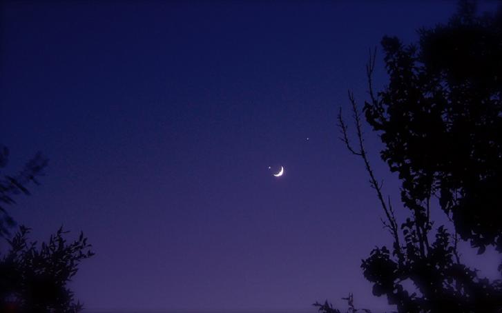 "Su l'ali del destrier verso la Luna"