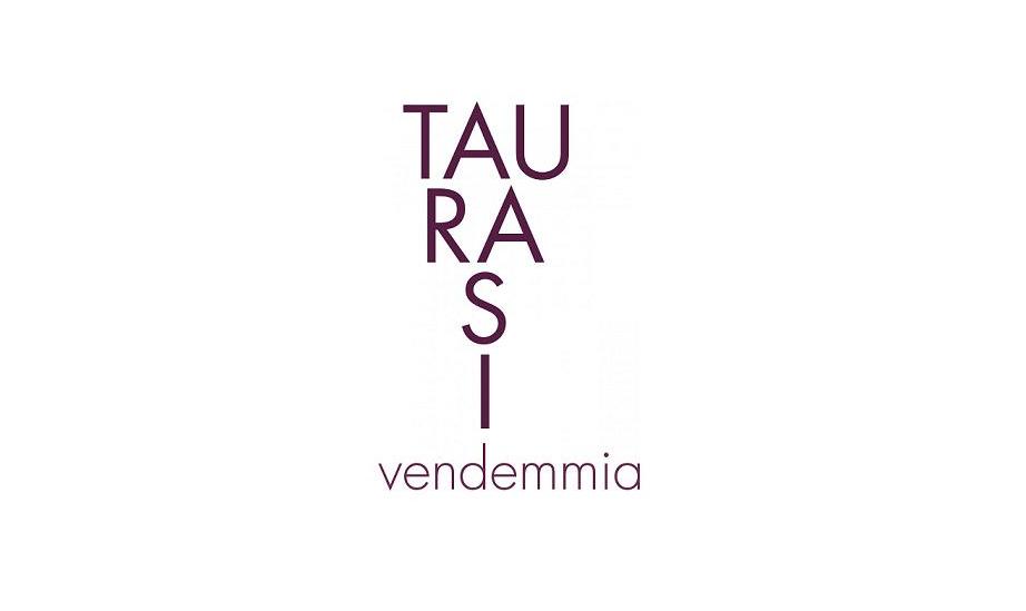 Taurasi Vendemmia