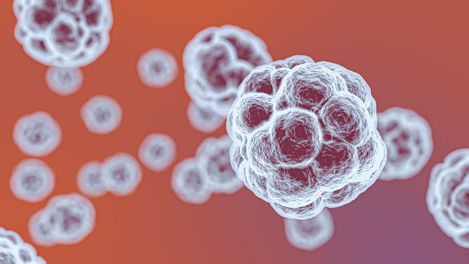 Test diagnostico per il Coronavirus: alla ricerca di tamponi ed esami rapidi