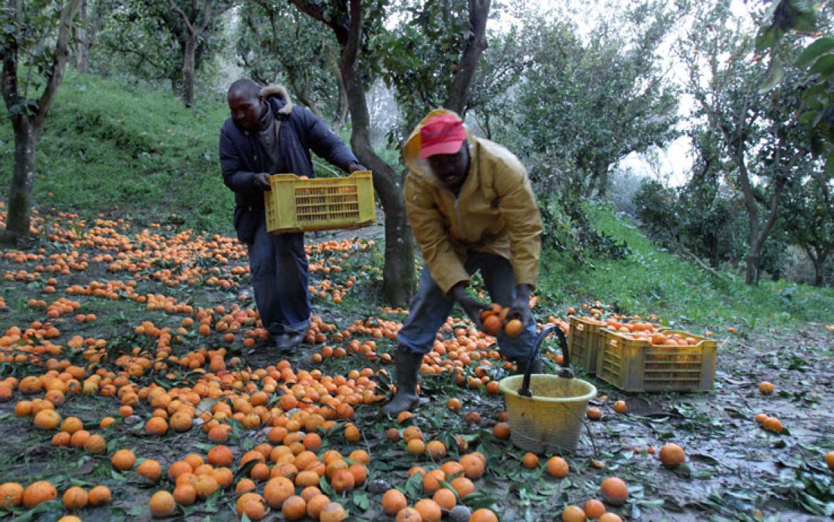 Tolleranza zero per gli  sfruttatori